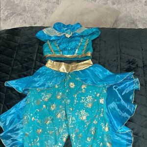 Disney Princess Jazmin  Costume with Intricate Embroidery